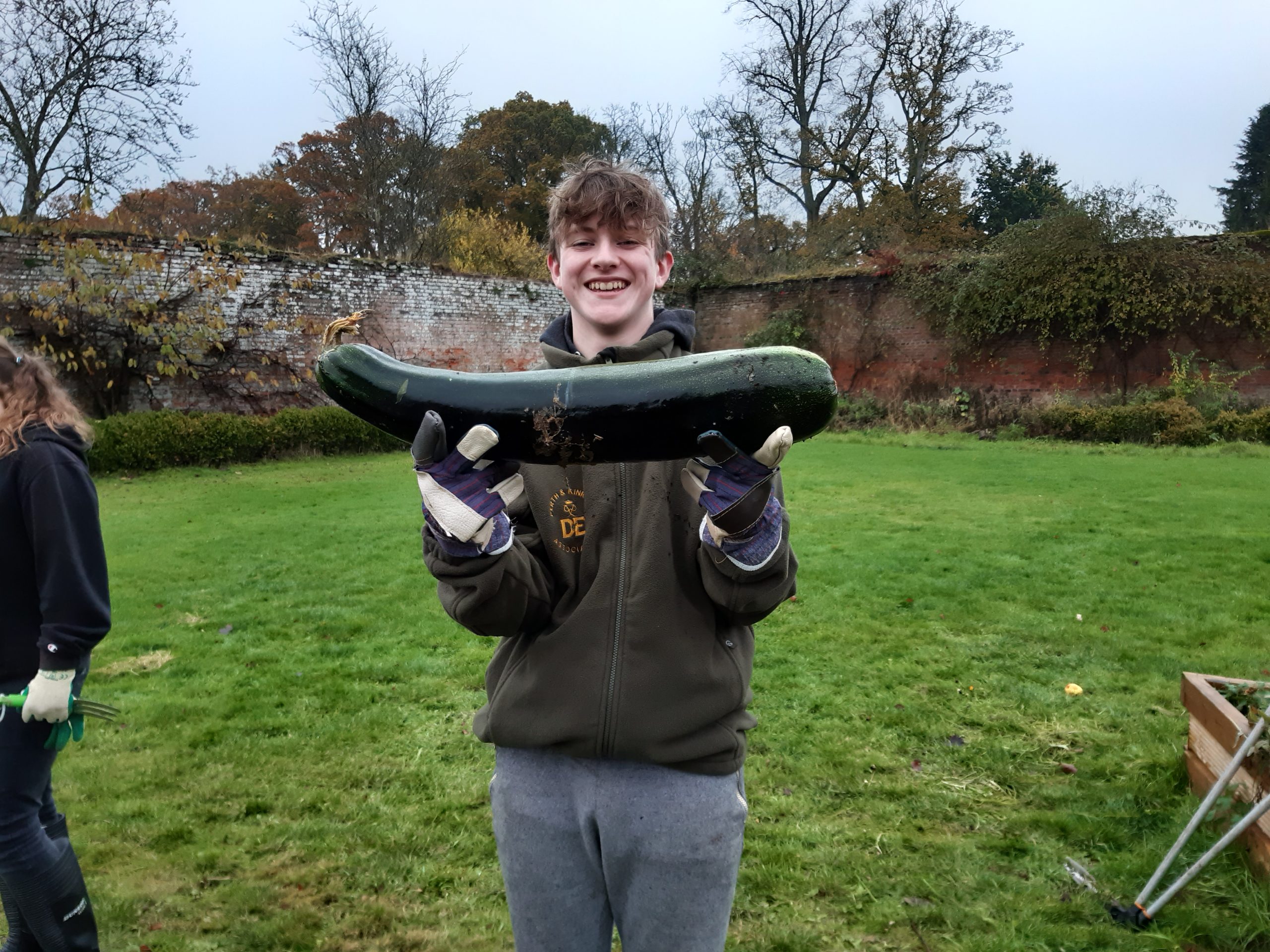 Perth-and-Kinross-Dofe-Association-Courgette-Soup-2019-Megginch-Castle Perth-and-Kinross-Dofe-Association-Courgette-Soup-2019-Megginch-Castle Massive courgette found in the grounds of the walled garden