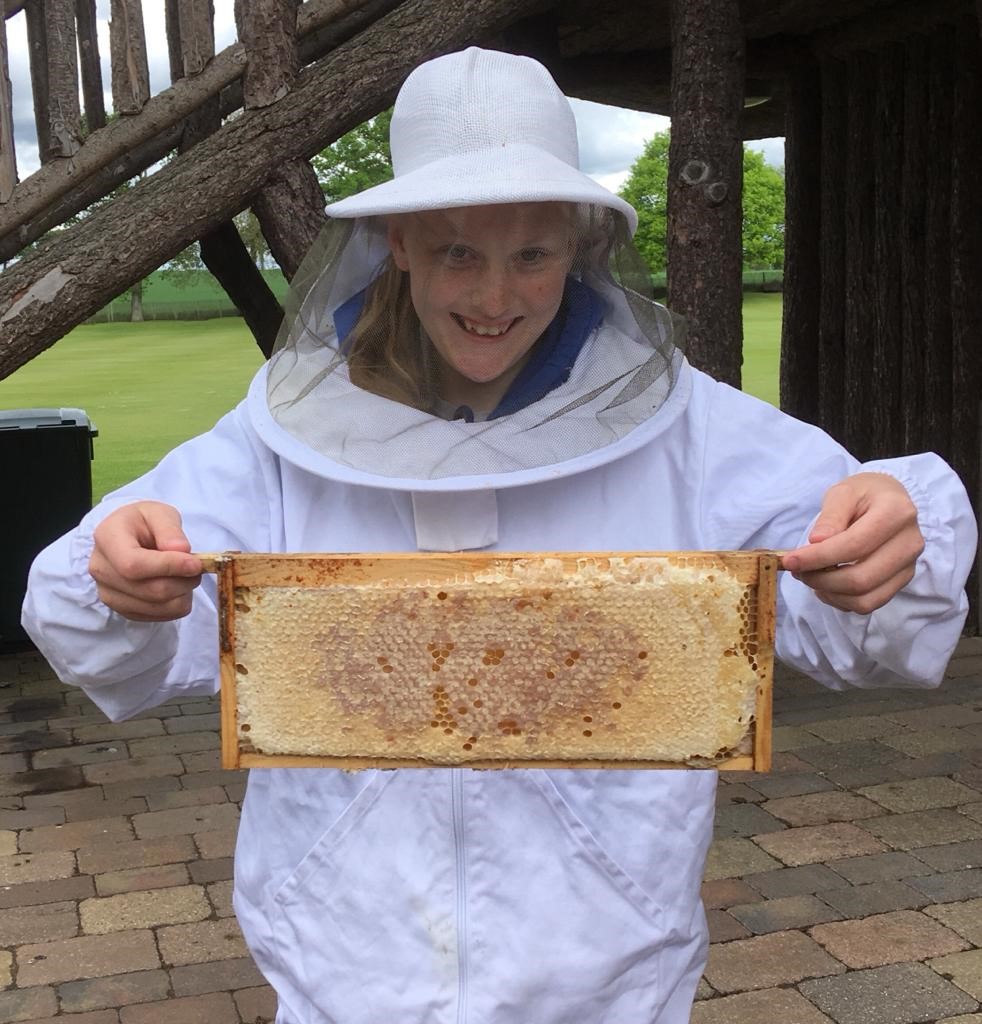 Courntney Honeycomb