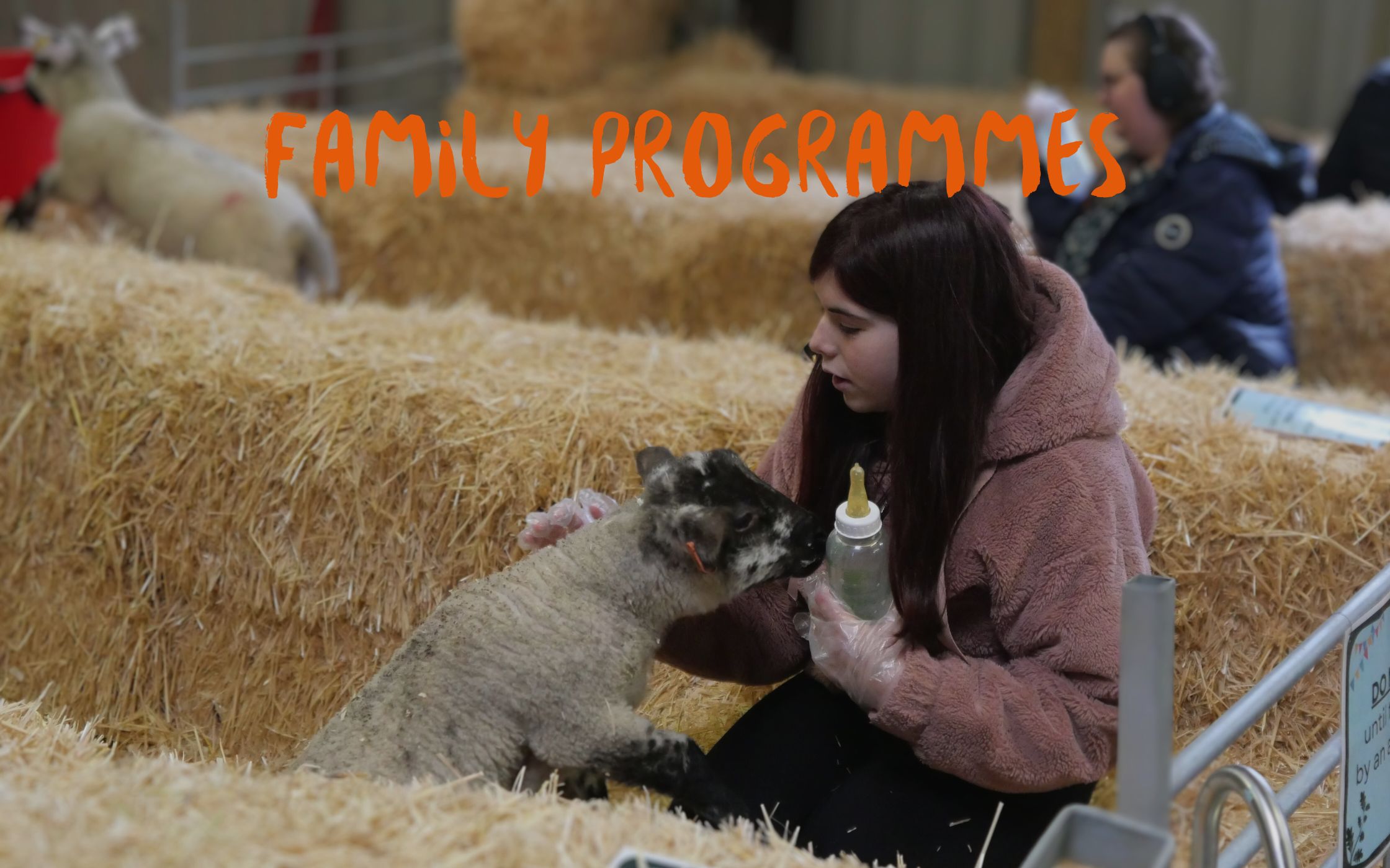 Website Header (3)