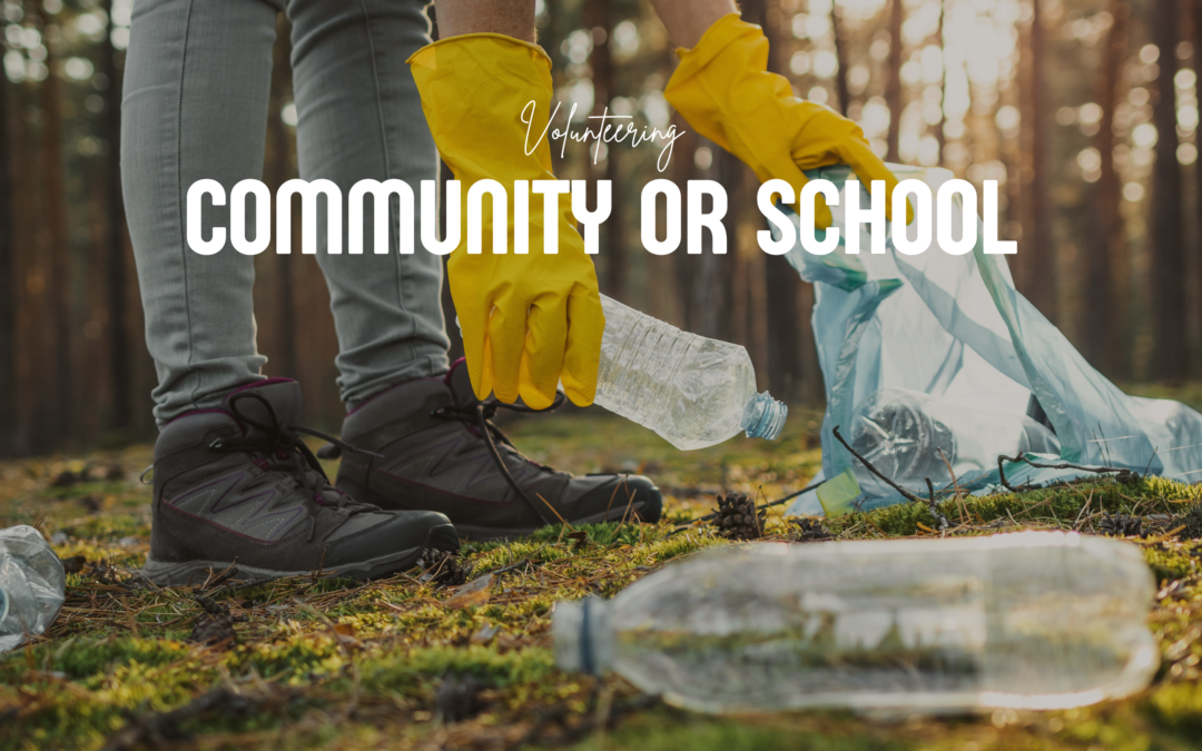 Community or School