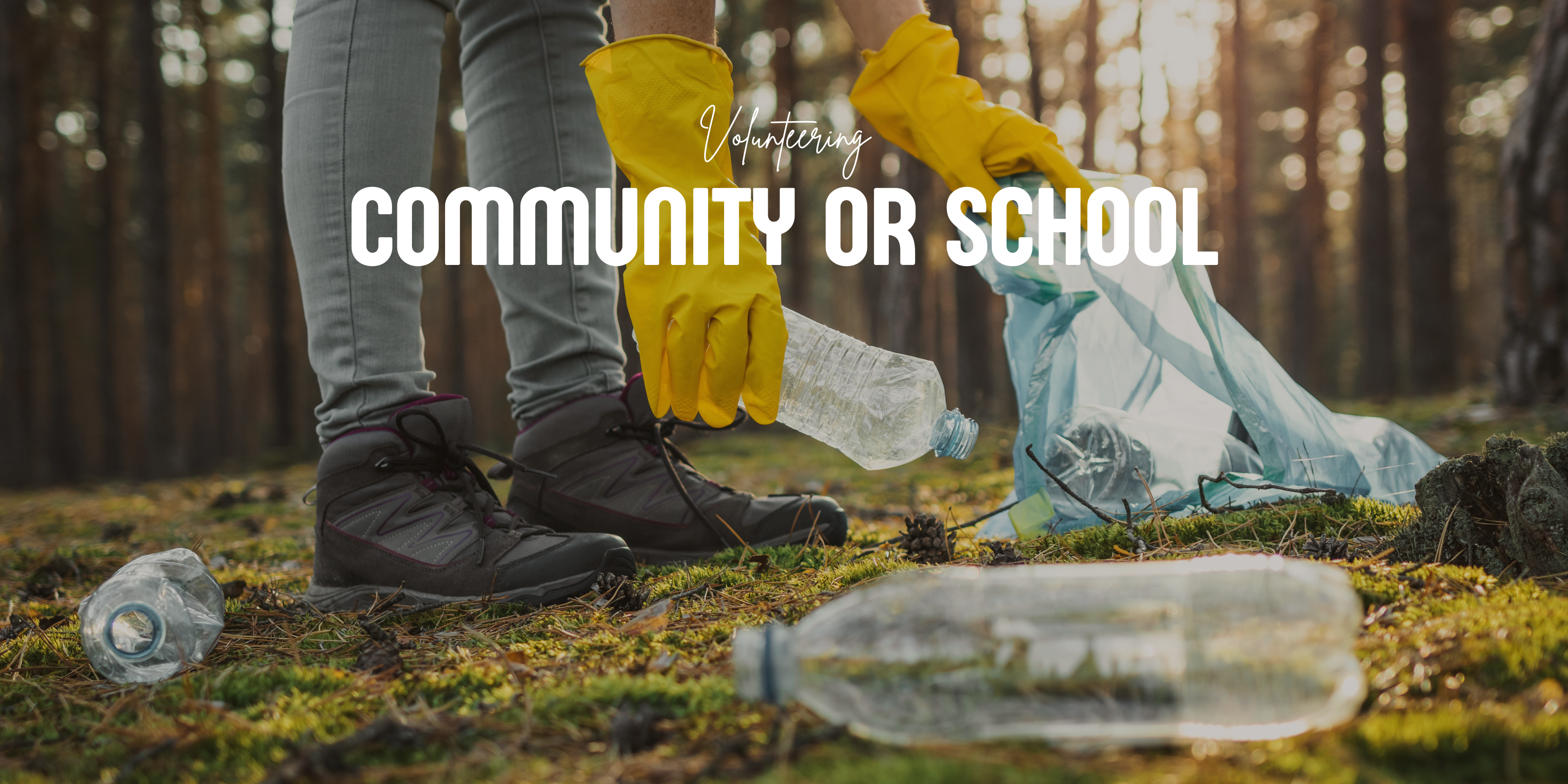 Community or School