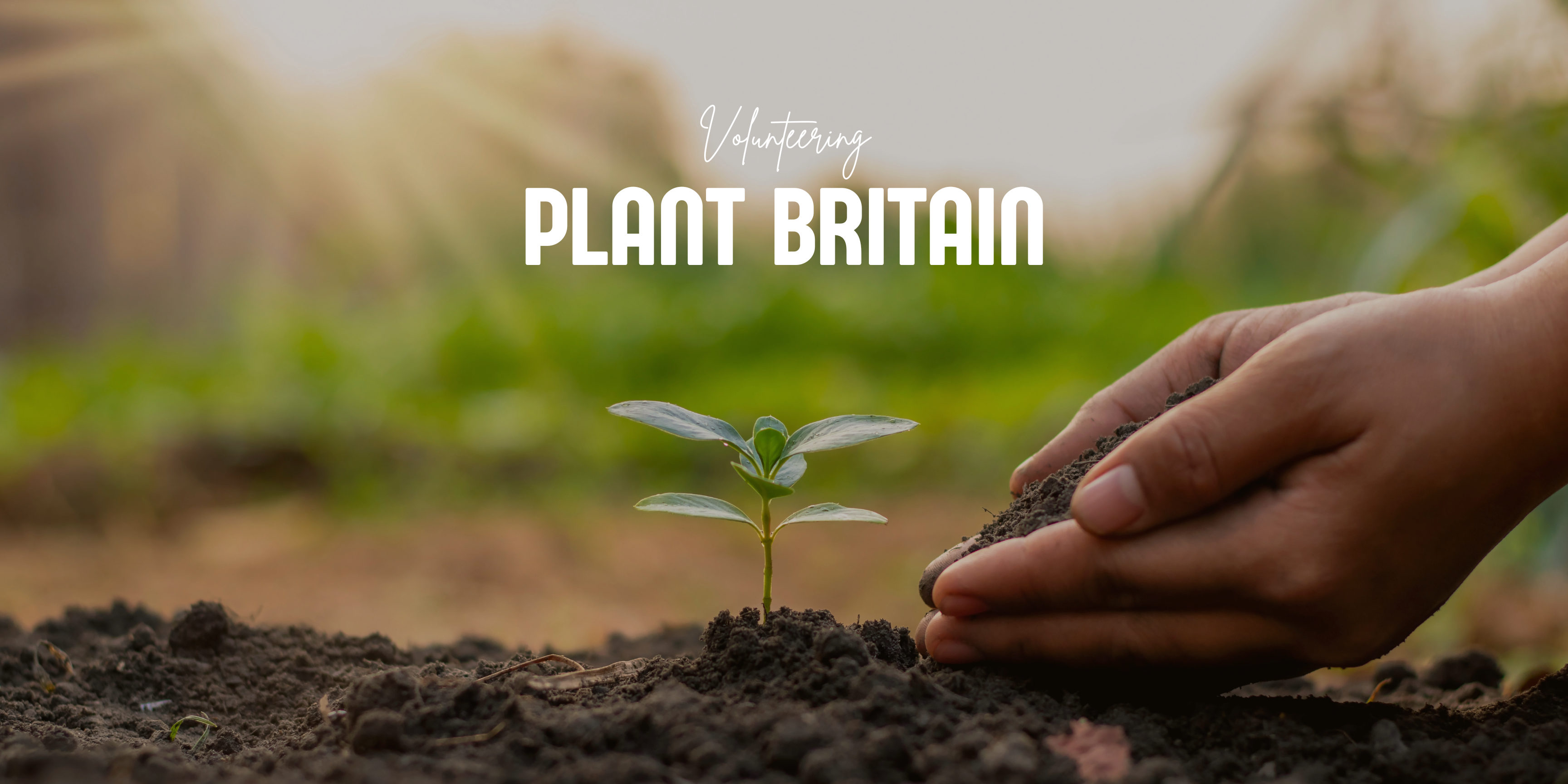Plant Britain
