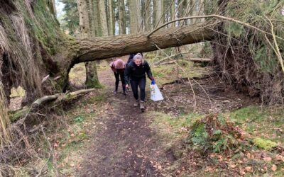 Litter Picking & Geocache at Kinnoull Hill