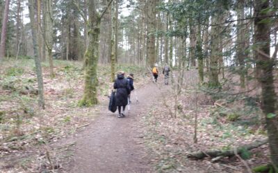 Litter picking on Kinnoull Hill