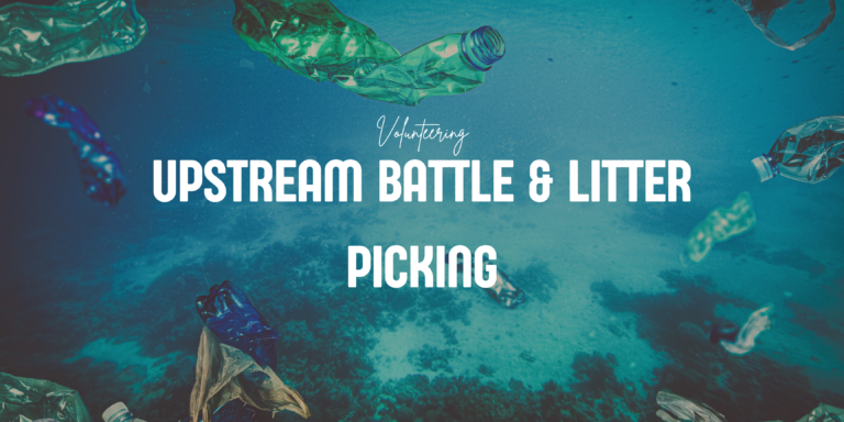 Upstream Battle & Marine Litter